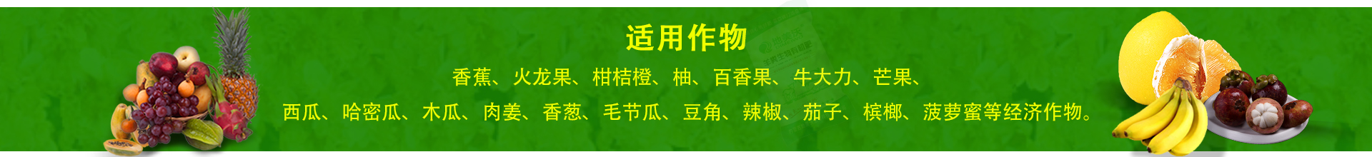 上海松夏減震器有限公司